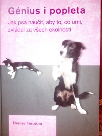 Denise Feriziová - Génius i popleta, Jak psa naučit, aby to co umí, zvládal za všech okolností